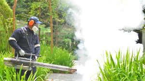 Best Fumigation Services  in USA